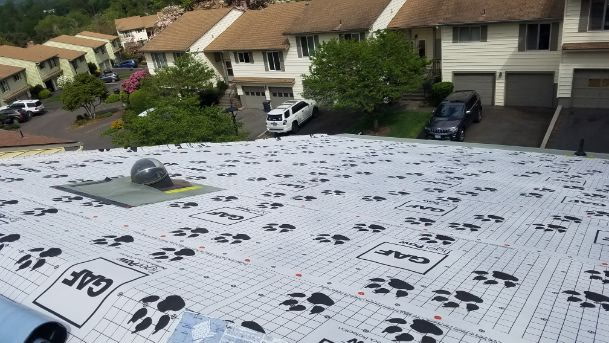 Before: Old white shingles